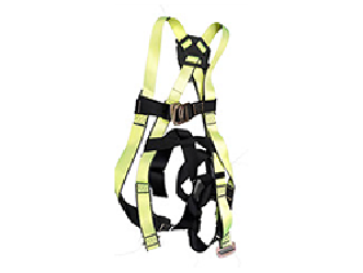 Arnés En H Eco Line