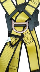 Arnés En X Expert Line