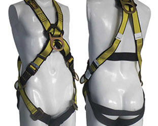 Arnés En X Expert Line